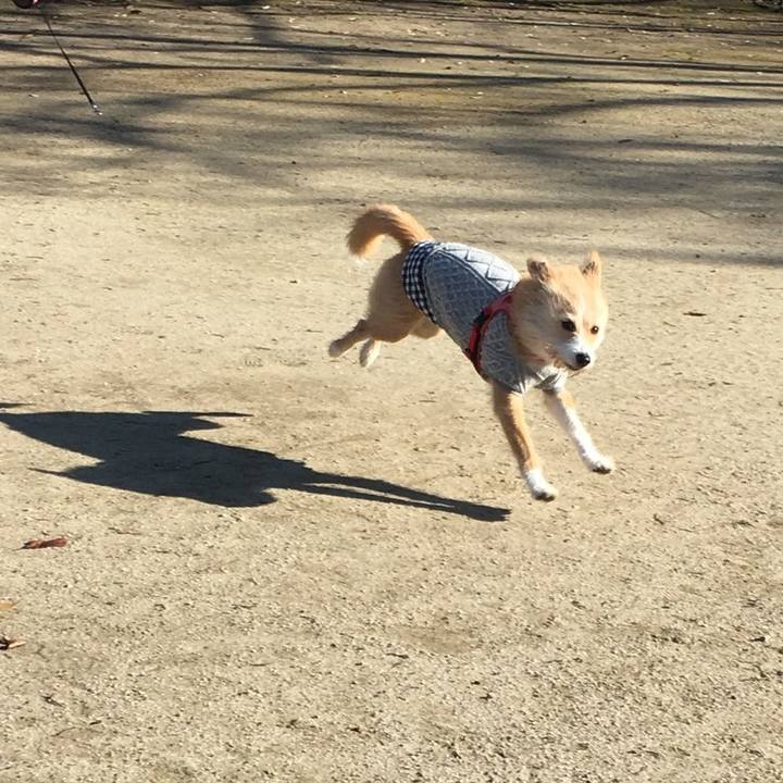 233a87c3 7a3e 461a aa81 045ba4d3e242 1515550744024