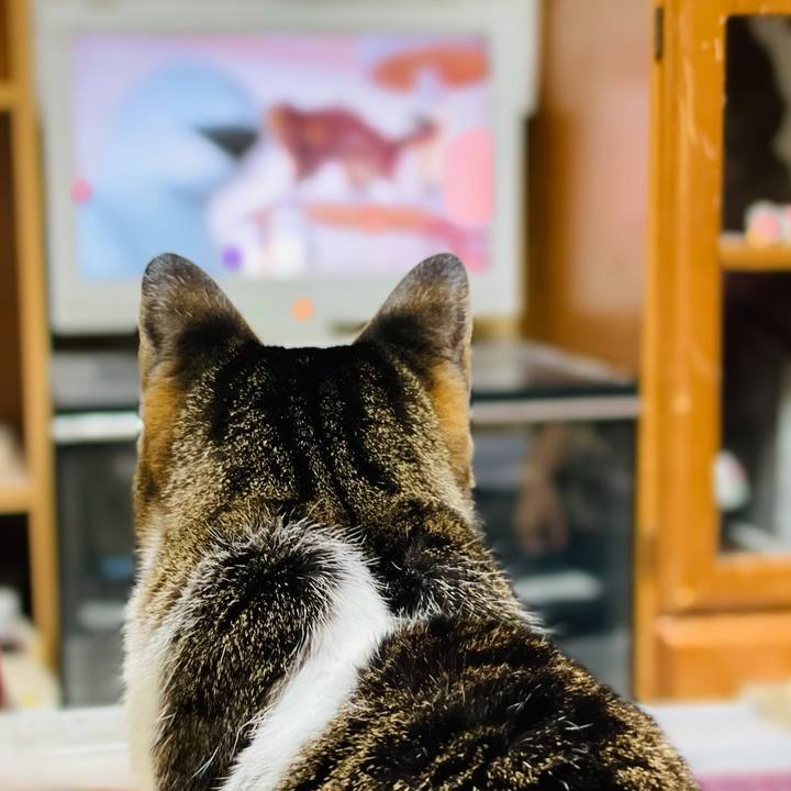 233ab5fa fe2b 40c1 abd0 b77a64de655e 1607650306922