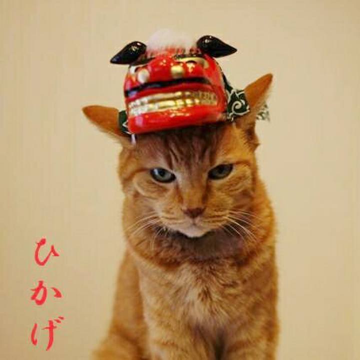 233ae5df ec25 433b 888d 66ed977dbe5e 1543301359889