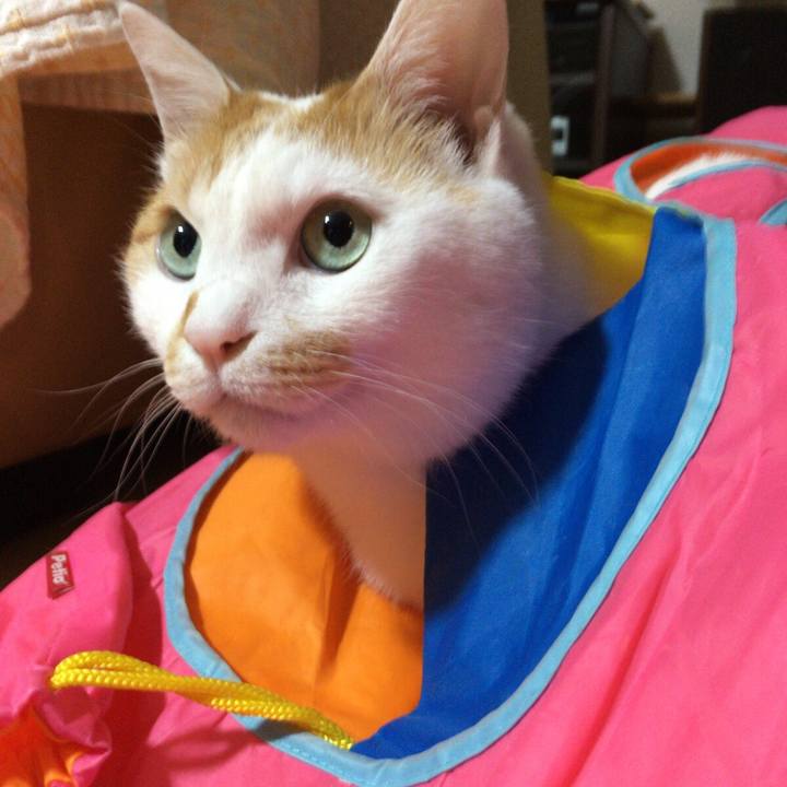 233b21eb 9690 4a57 aef6 24afce70639e 1516277678708