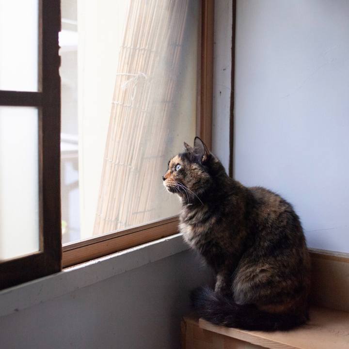 233b38a1 3844 4333 b6e3 889eba0e6749 1575892803631