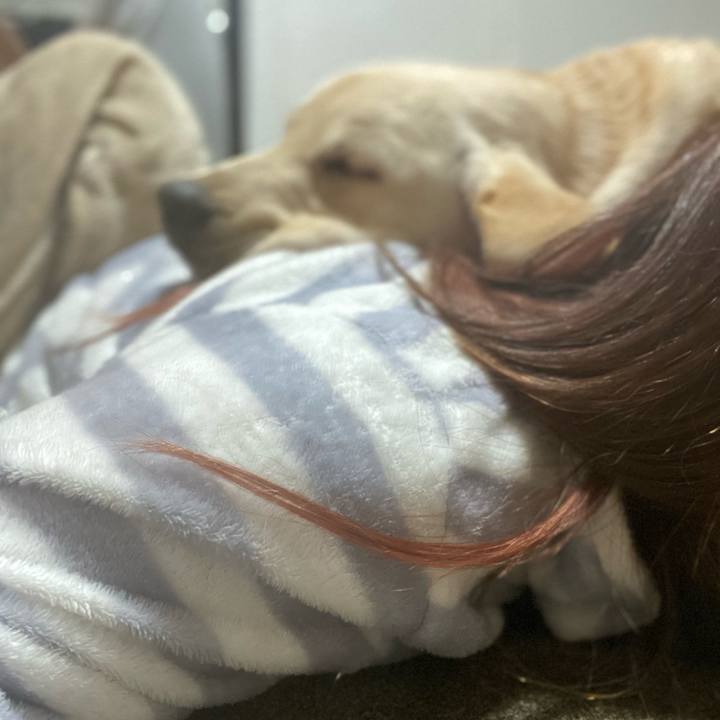 233b457c 0e52 4a4e ba79 659a14983520 1616677735027