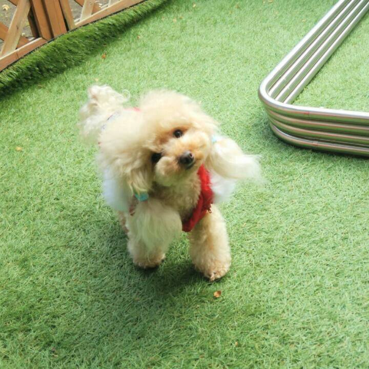 233b5d41 b475 4d91 830d 6b214bba7c71 1543570990833