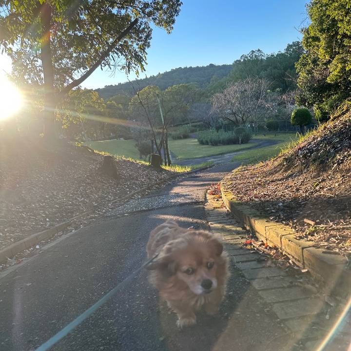 233b76b6 b1ac 41eb b47f ec483bcc0852 1732407772168