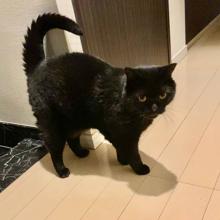 233becb0 e8c0 41bc bf6a 80b45a9fcfe8 1657628444390