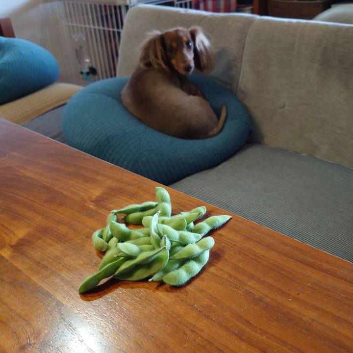 233c0948 b6b6 4cb8 a45d 83ef4be67240 1626235032992