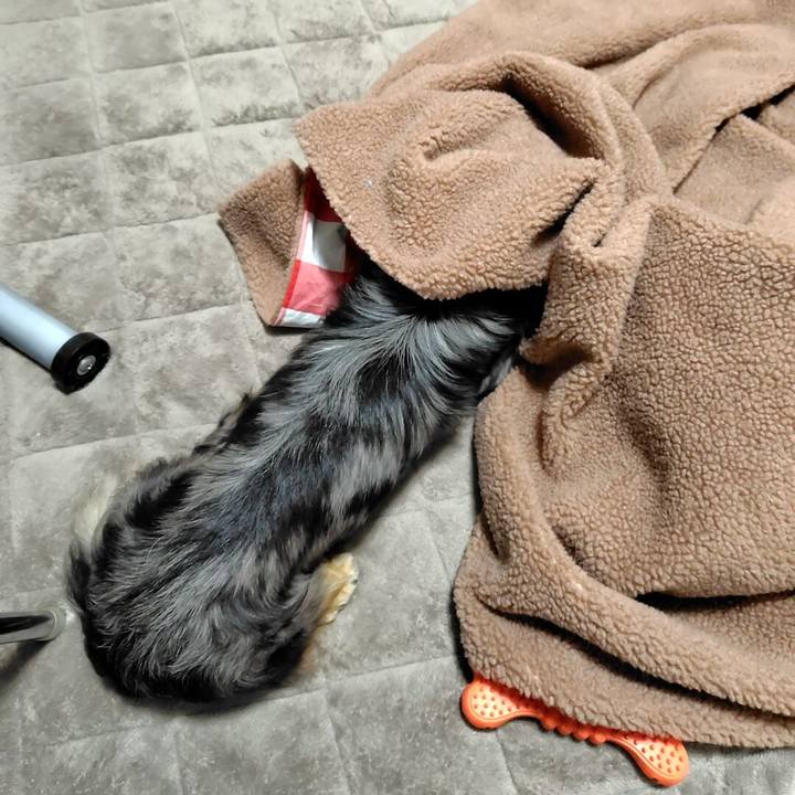 233c1333 5357 43bb ad9a 85d444ec1ef6 1710932270633