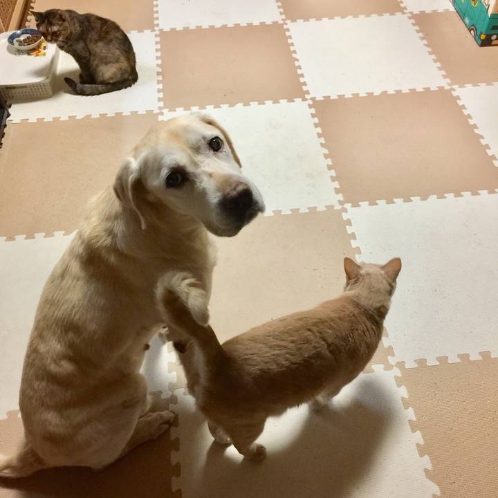 233c5afd 05fc 4d01 a691 197283889d3c 1508488933405