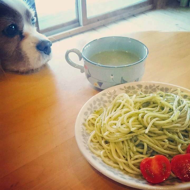 233c630e 846e 4829 b0a8 3918a1414d62 1513295435297