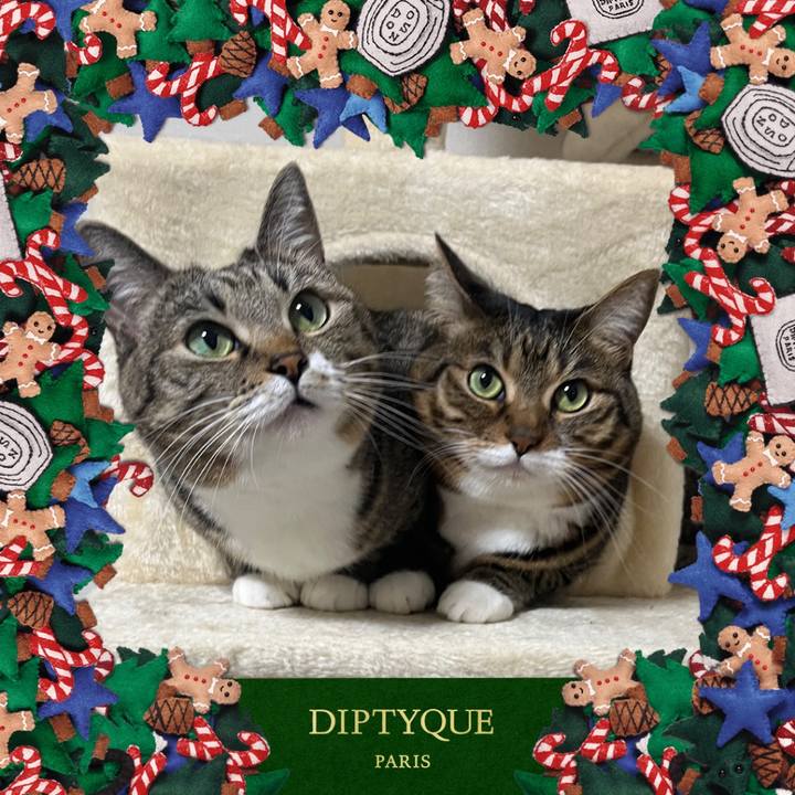 233caab3 cd5f 4136 80e9 e8309fd42263 1735048533205