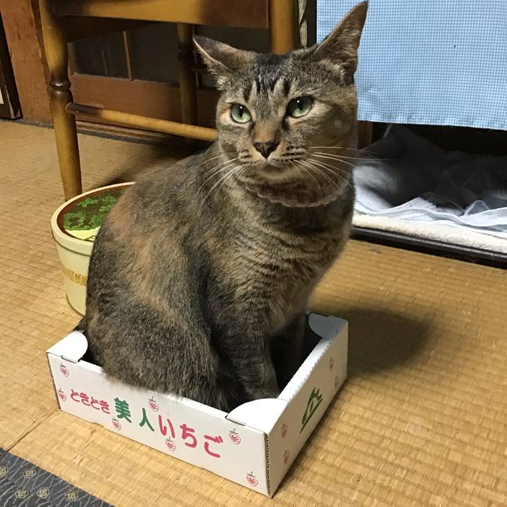 233cbf3e 8289 4ead 8d7f 5a3db773fb8d 1657193232606