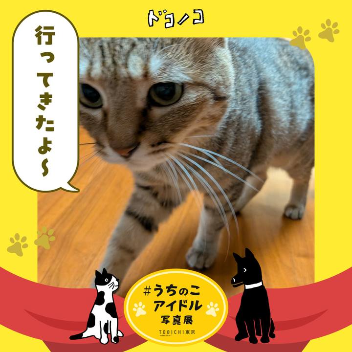 233cf439 bb7c 49de 80ac bea45ea53fdf 1761775627657