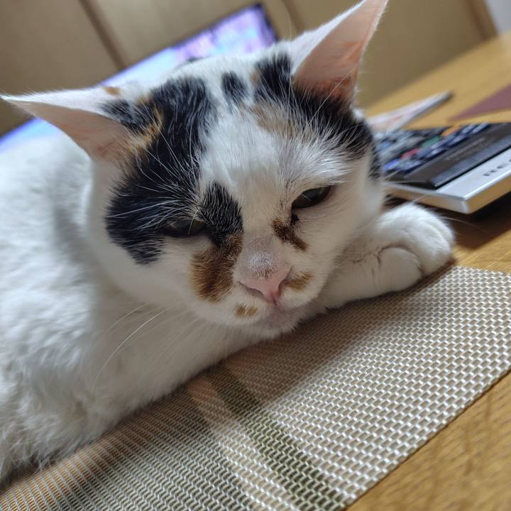 233cf992 01cf 4a28 bc4e e88ec1271050 1727704015656