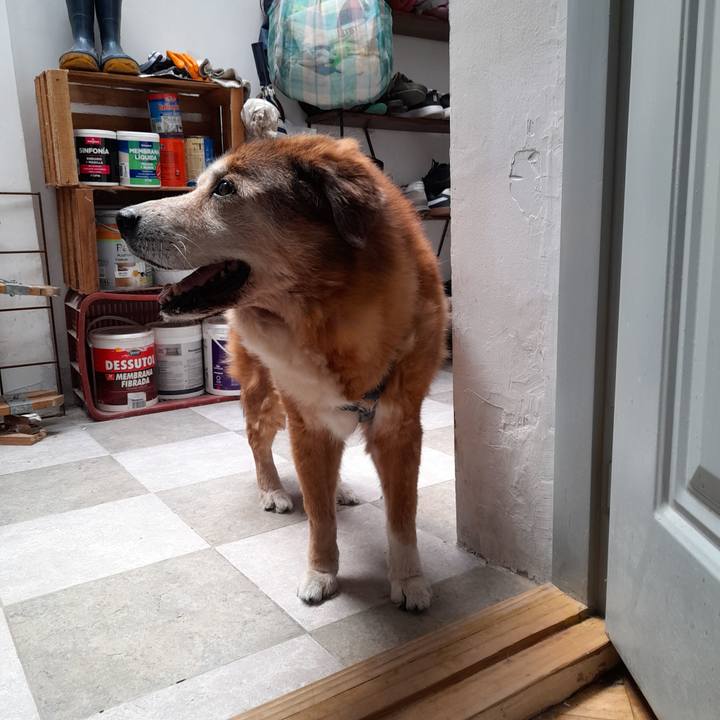 233d1677 c53d 417a b48b d2e11bbb1fcb 1770830086492