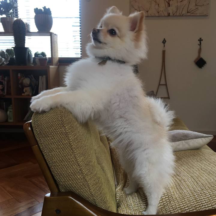 233d18fd 1c83 4c99 9ee9 ceeecf9d48a0 1552804046971