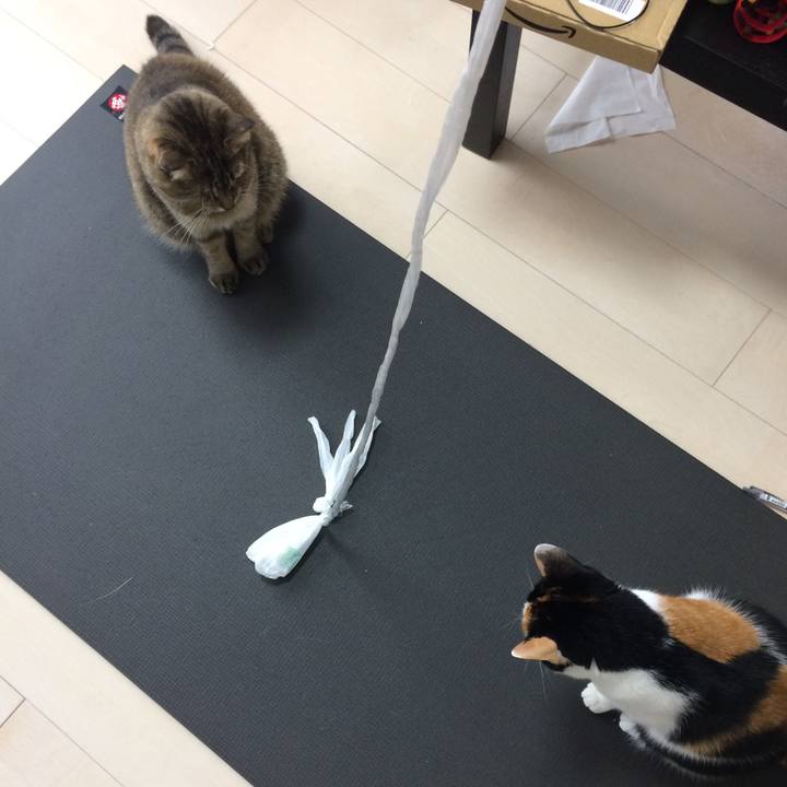 233d1f11 4188 453e 91c8 eb11e62e5831 1519984115491