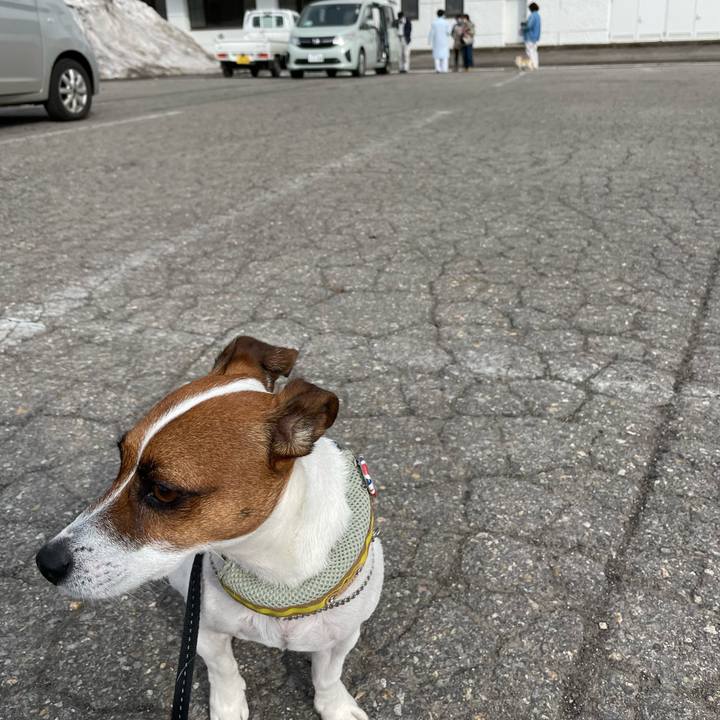 233db625 dd95 4391 87a6 714f4cb2e2de 1649329782180