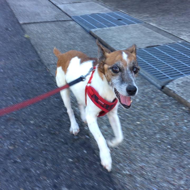 233dbc00 d086 4490 8fbf f8ac40b0a348 1533766259081