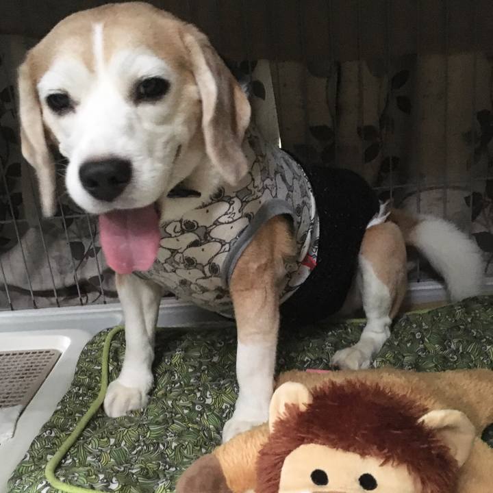 233dd225 e89a 4f57 86f5 f2318591a745 1569662676498