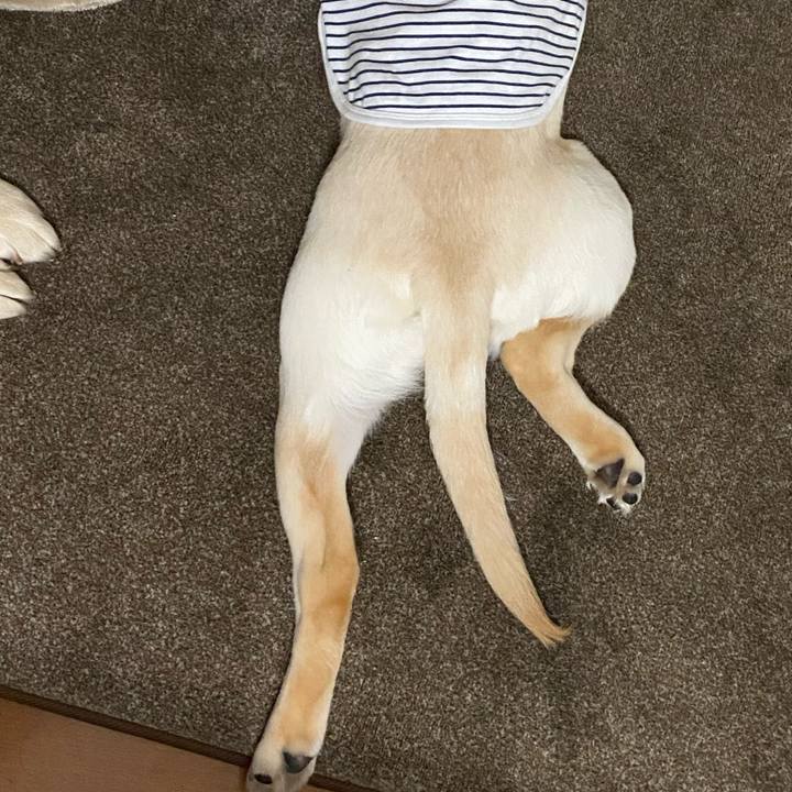 233e0454 40cd 4836 927a cf9f0c08c67e 1617579657572