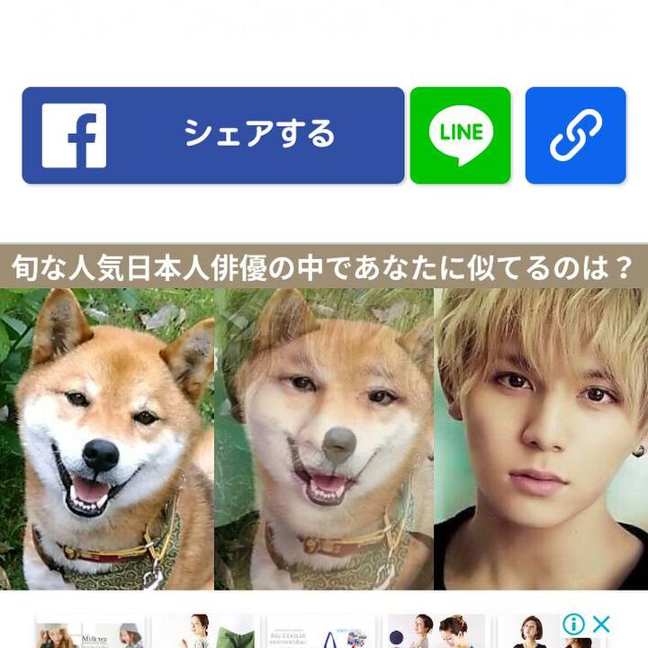 233e1940 3a90 4555 8b37 4219a40c29d1 1528470643185