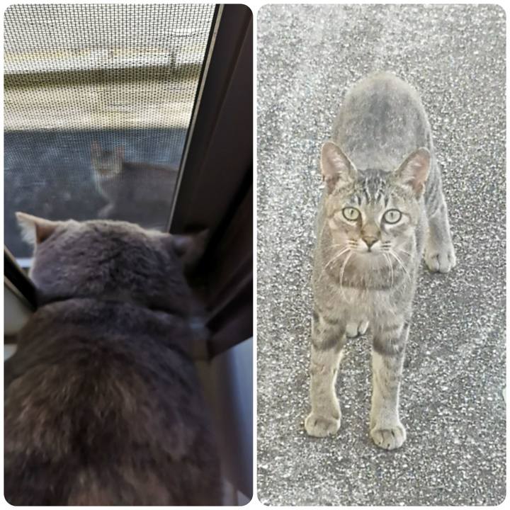 233e1bcc 421a 4852 9965 949b6eafd52a 1569310461960