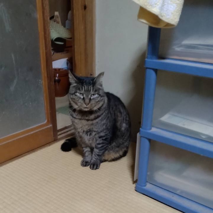 233e270a cf52 43ac bebc b6ba1ad2bcdb 1674466982585