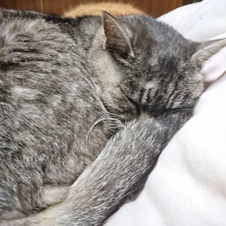 233e66b3 ae2b 4dc1 bb57 e8cfadce2d48 1575116752761