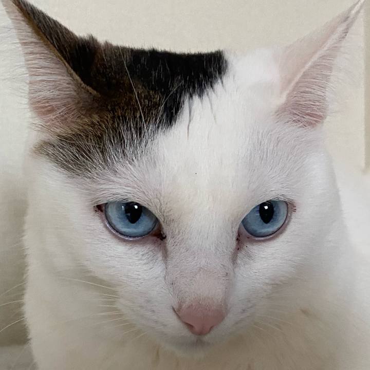 233e8911 cd22 489a b3f4 64dde60282d3 1676097374932