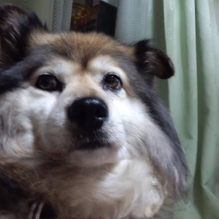 233e9a91 72c7 4c6c 9376 f1b8364f81a9 1626841825409