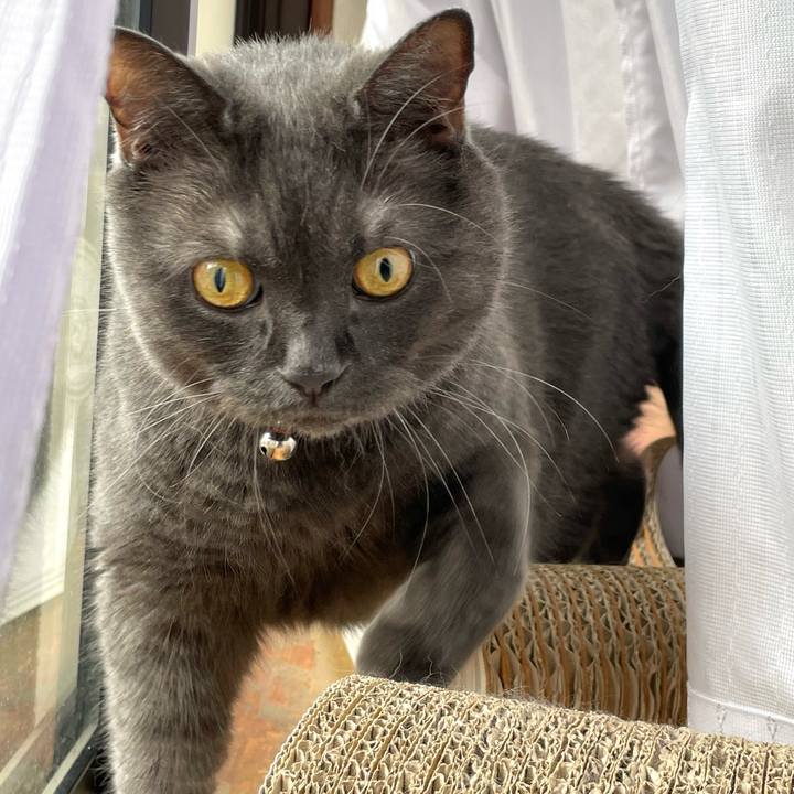 233e9d08 3911 4817 a373 3de8e54ac0e4 1758241988101