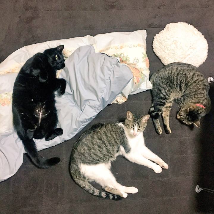 233eb9ba f7fc 49b3 bad8 4b2824bc36c3 1518618801943