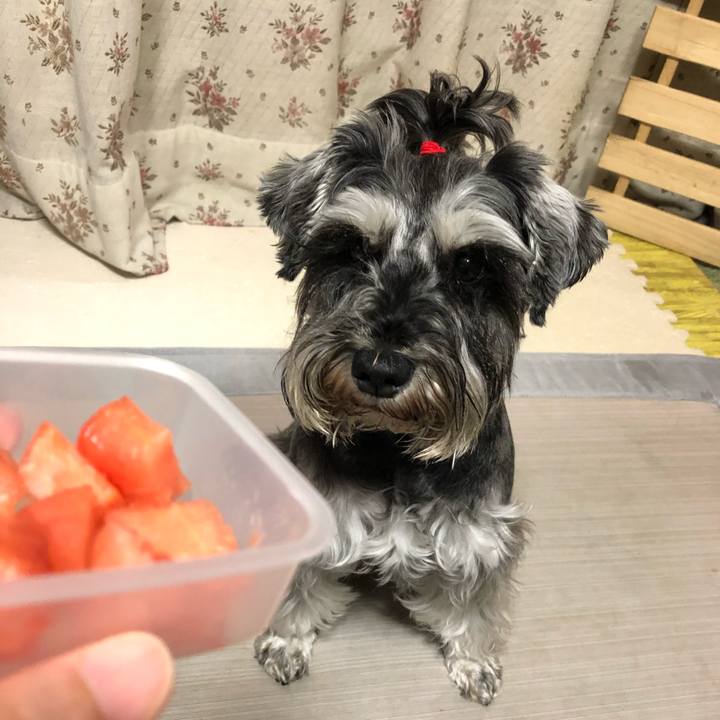 233ebdbf ce9b 4ec0 a276 02de055edbc3 1621091738978