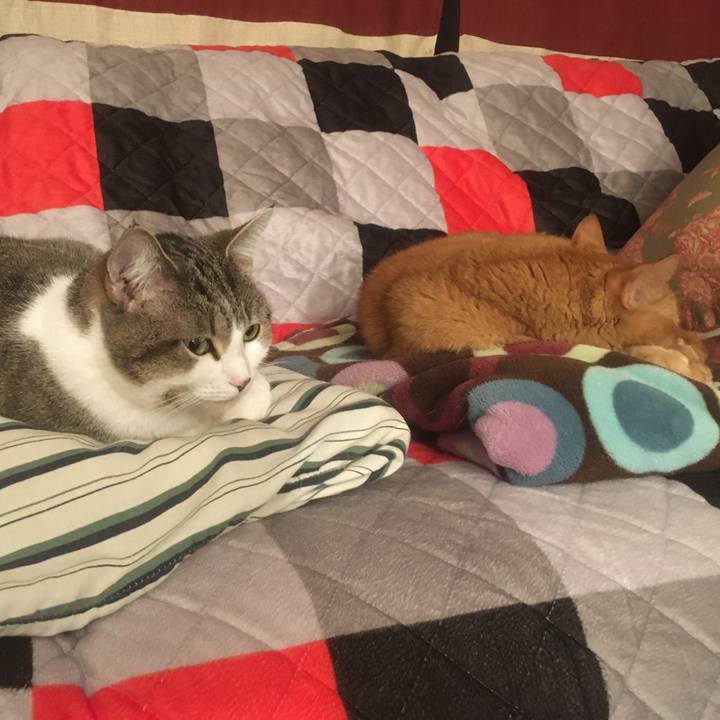 233ee9f8 0cc1 41a7 b601 53b1b1f47e8f 1633133932110