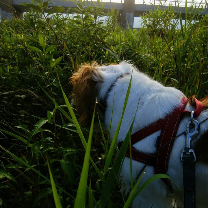 233f105b 7600 4a1a bfa2 d8e14524a5c6 1537242250150