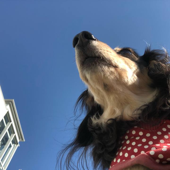 233f3e10 460d 4488 bd86 47d32cd66753 1553046047334