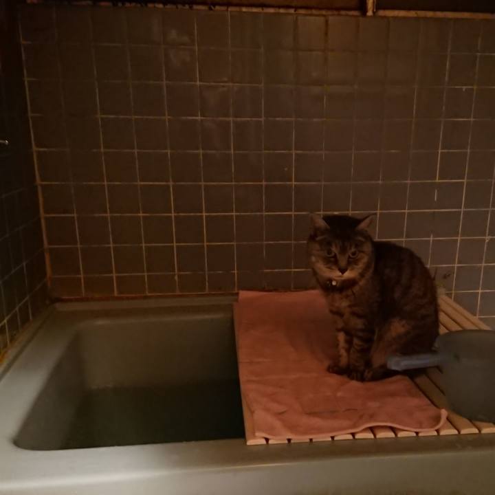 233f9166 2526 4924 b93e 69331dd1365b 1573290165848