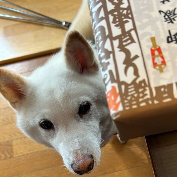 233fcb51 a89f 4efb 820e 433715750f48 1734132278879