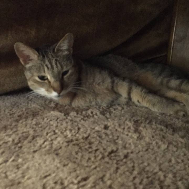 233fe1a1 76da 4db8 8450 94d472e4fb88 1553640879383