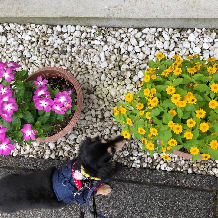 23402db9 db3d 4269 b378 11fe03f89a3c 1594945361336