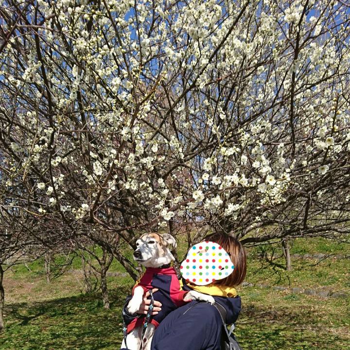 23408f09 359d 4ed8 81ad 907ea60f77f8 1581423766114