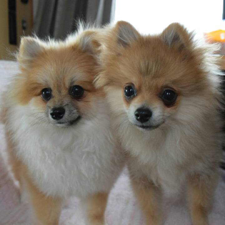 2340a09b 48d5 4929 bfaa e4a855ed08ac 1519172180313