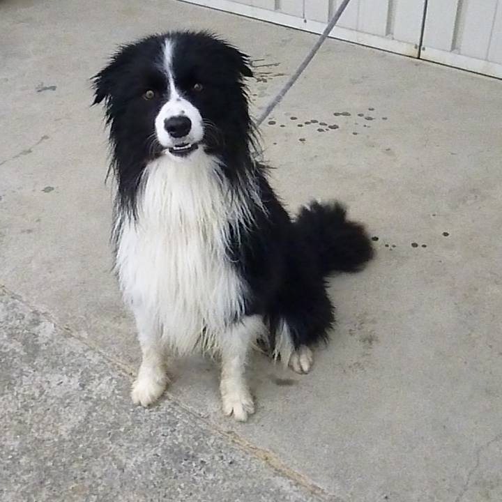 2340c281 ba92 4a02 a05d 899d4c7c86f4 1619229016145