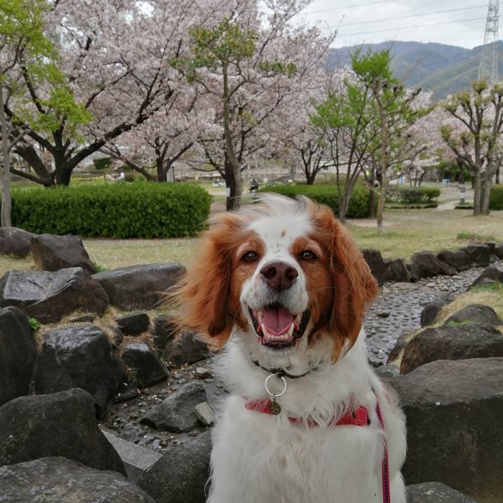 2340dd95 2999 4b10 b4a6 ad52f0e606b6 1617363562139