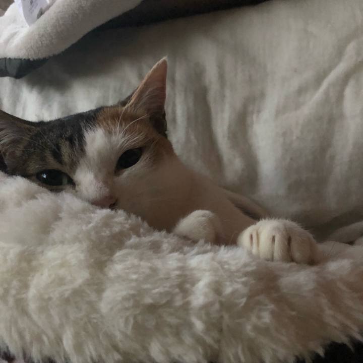 2340ec46 1da7 4184 a519 ab5acc9b5ed7 1583183421630