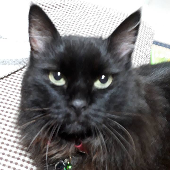 23411c4d 6f4d 48d0 9007 9f6066b005d3 1534336558405