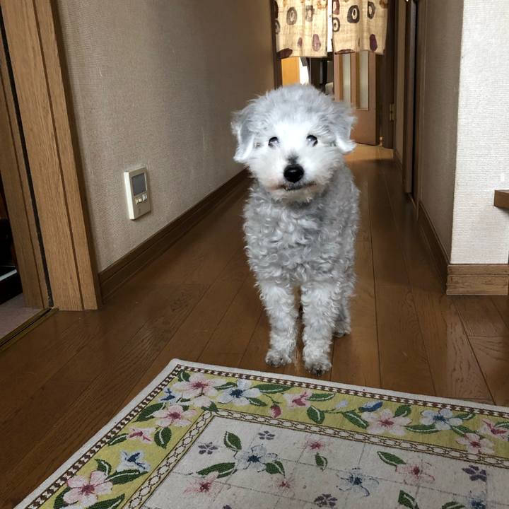 23412d81 809d 4a82 b57c f8d43d8b644c 1649895314275