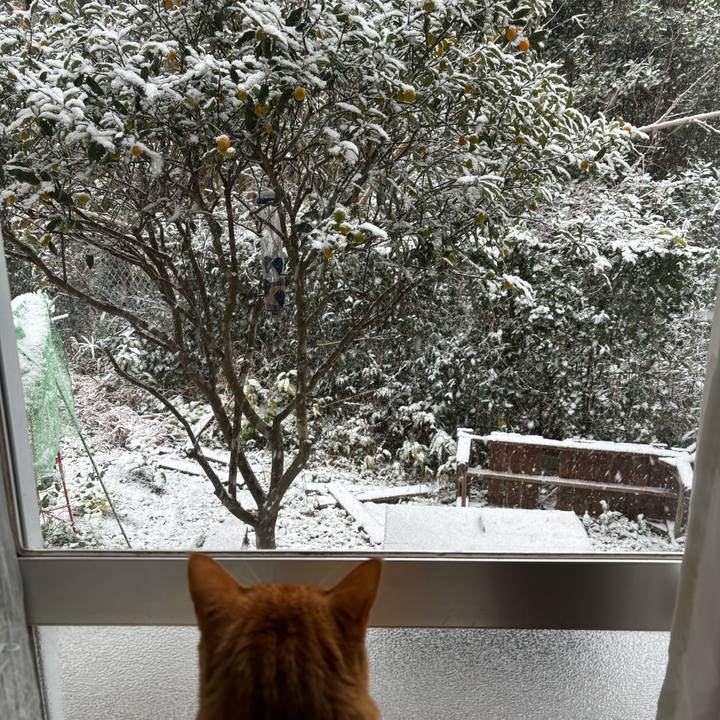 23416b54 6fe1 47e3 8c44 e8ea130da8e6 1738636516924