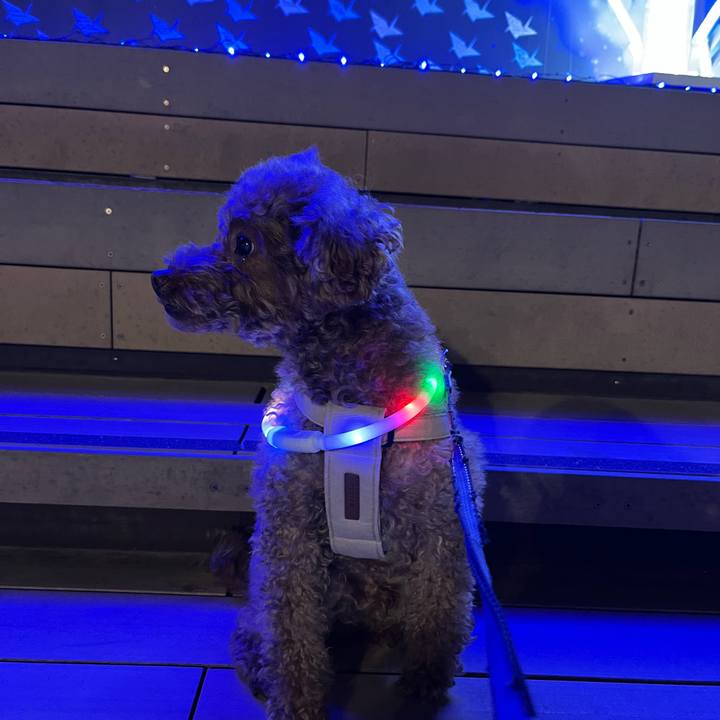 23417ecc 8b39 40dd 8ab6 a7153d700696 1765403998001