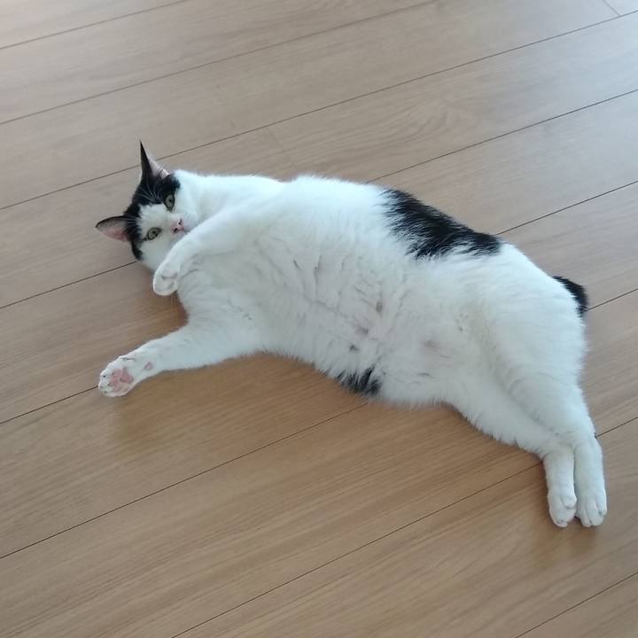 2341992c da68 4219 9d51 4024d7362053 1562495208546